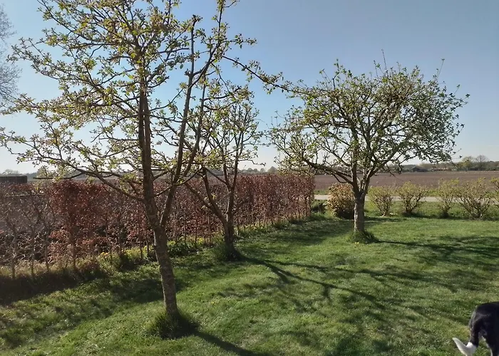 Kruisvennenhoeve * Ospel
