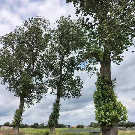 Kruisvennenhoeve Chalet Ospel